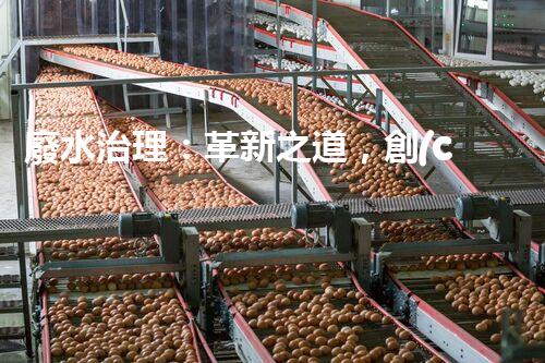 廢水治理：革新之道，創(chuàng)新技術為何成就環(huán)保奇跡？